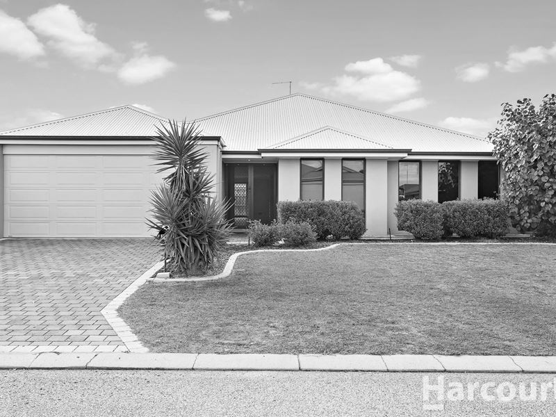 16 Senecio Way, Halls Head