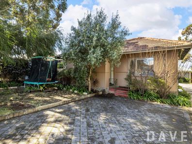 172 Alice Street, Doubleview WA 6018