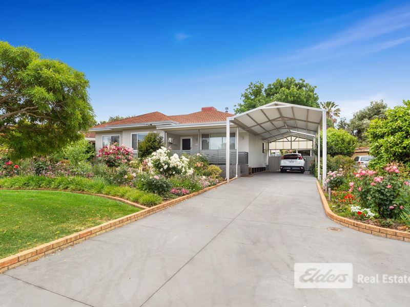 16 Jones Street, Collie