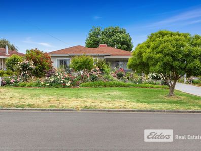 16 Jones Street, Collie WA 6225