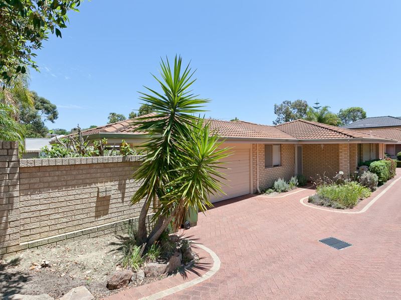 46A Mount View Terrace, Mount Pleasant
