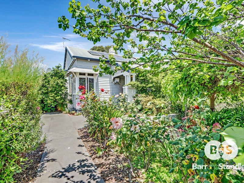 69 Venn Street West, Collie