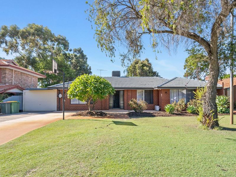 53 Henry Bull Drive, Bull Creek WA 6149