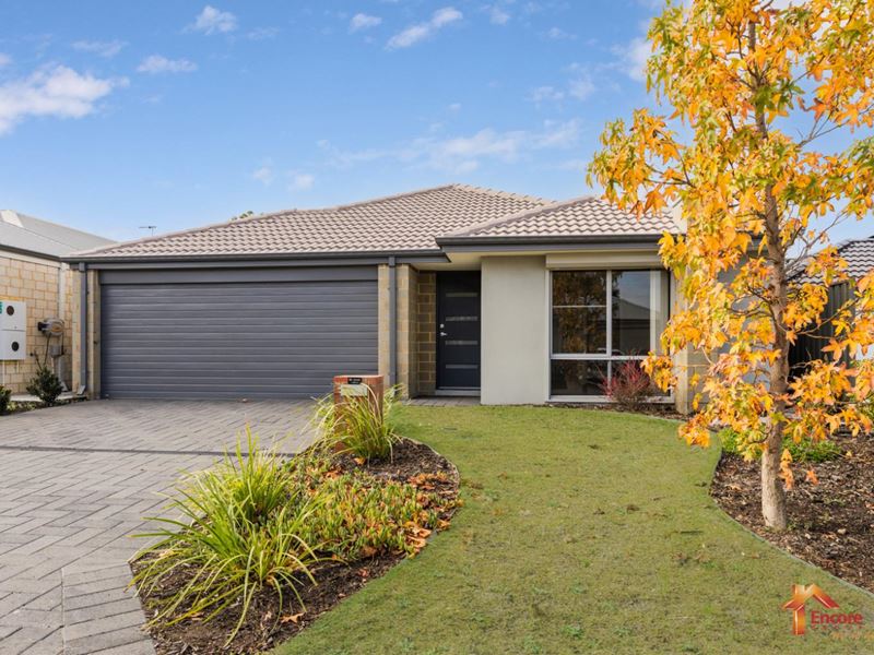 6 Sapphire Chase, Wellard WA 6170