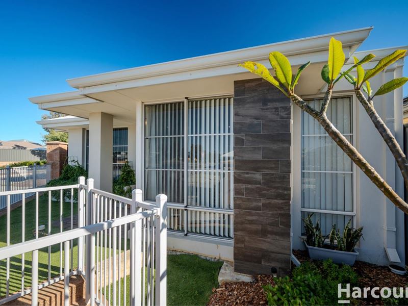 253 Grandis Boulevard, Banksia Grove WA 6031