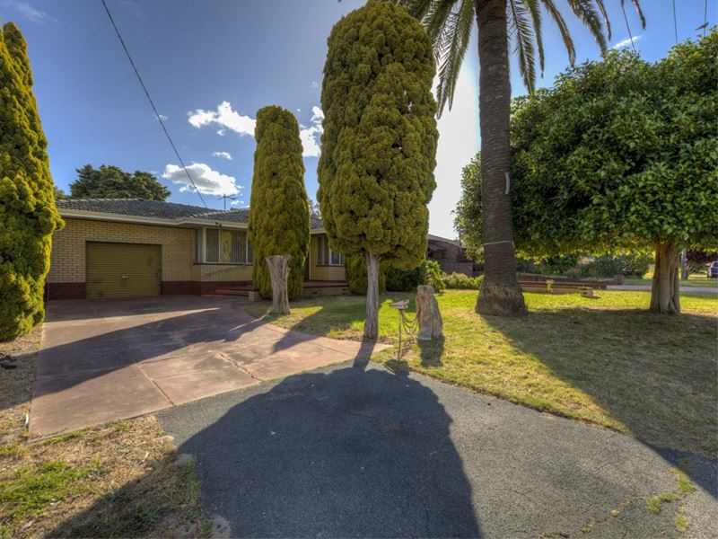 17 Mclachlan Way, Belmont