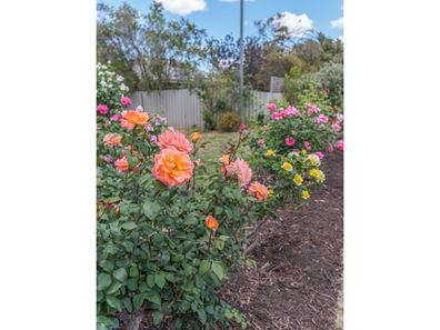 20 Chalfont Way, Swan View WA 6056