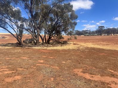 65 Forrest Street, Bolgart WA 6568