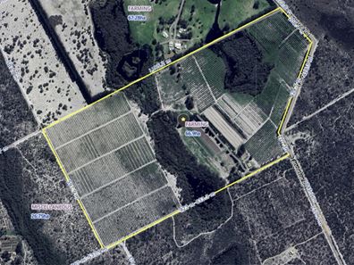 454 Tangletoe Road, Muckenburra WA 6503