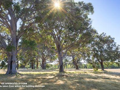 Lot 105,  Springfield Farm, Yallingup WA 6282