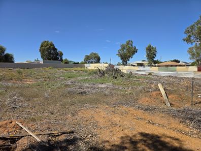 10 Lauder  Street, Nanson WA 6532