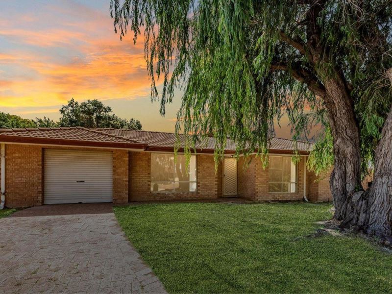 4 Cramer Court, Mount Tarcoola