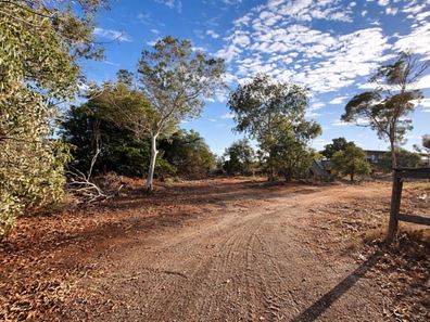 46 Bateman Street, Northampton WA 6535