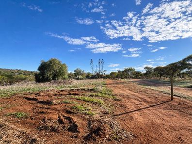 46 Bateman Street, Northampton WA 6535