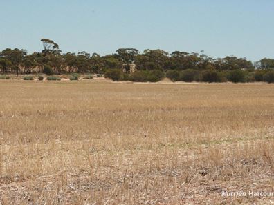 . Chandler-Nungarin Road, Nungarin WA 6490