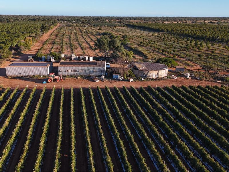 945 North River Road, North Plantations