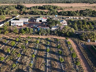 945 North River Road, North Plantations WA 6701