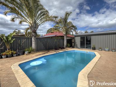 43 Hibiscus Road, Maddington WA 6109