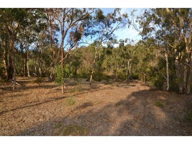 Lot 564,  Scrivener Road, Serpentine WA 6125