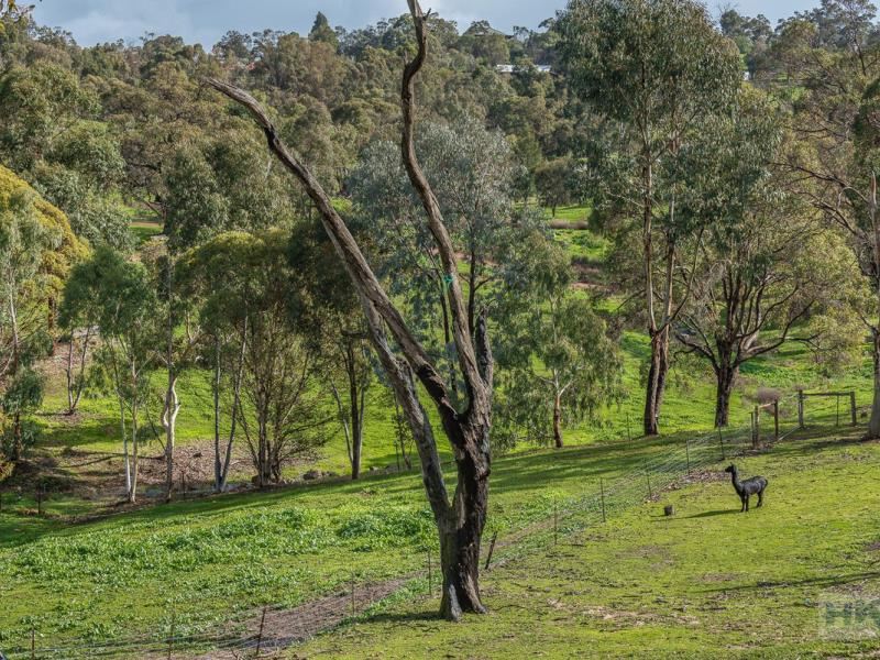 308 Clarkson Road, Bullsbrook