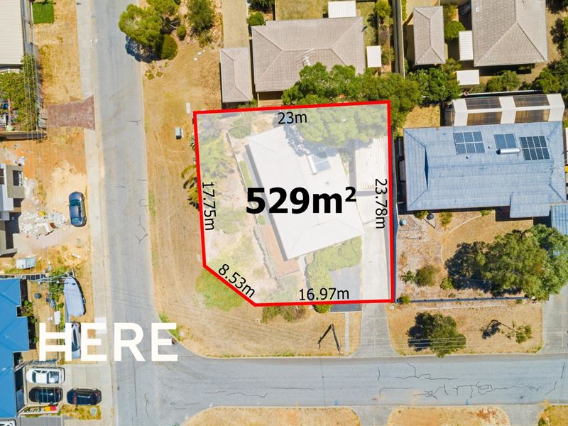 1 Cassio Place, Hamilton Hill