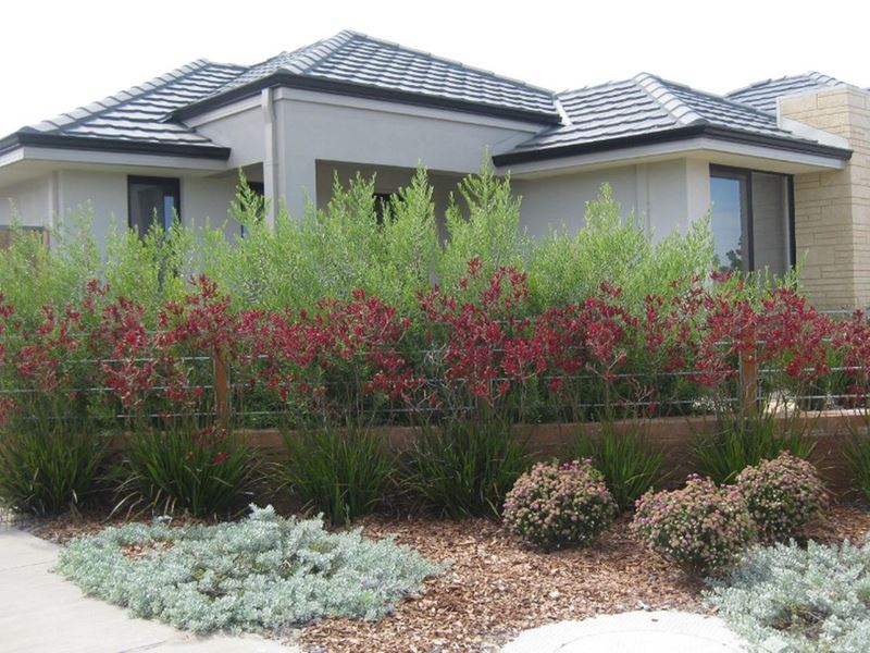74 Delapre Drive, Ellenbrook