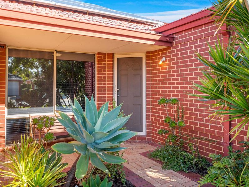 7 Mcguiness Turn, Wattle Grove