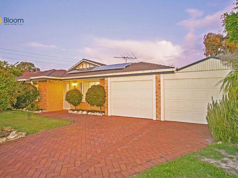 33 Ballard Mews, Success