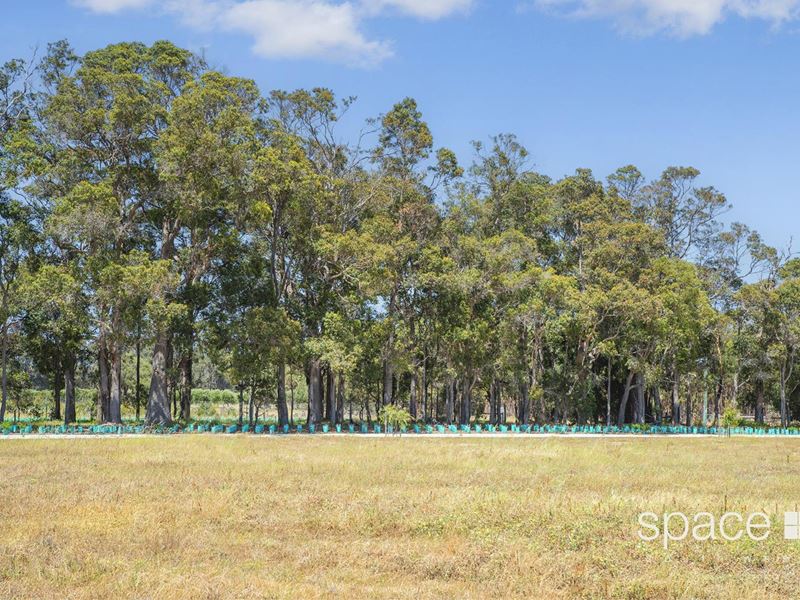 9 Lomandra Way, Witchcliffe