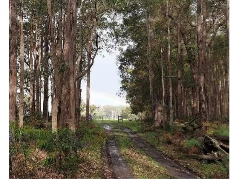 Lot 106 Wetherall Road, Quinninup WA 6258
