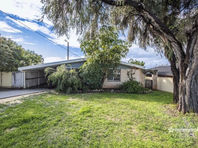 17 Mark Way, Mount Tarcoola