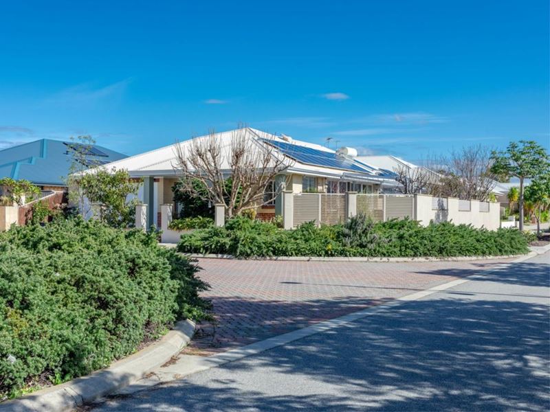 20 Pricklybark Street, Harrisdale