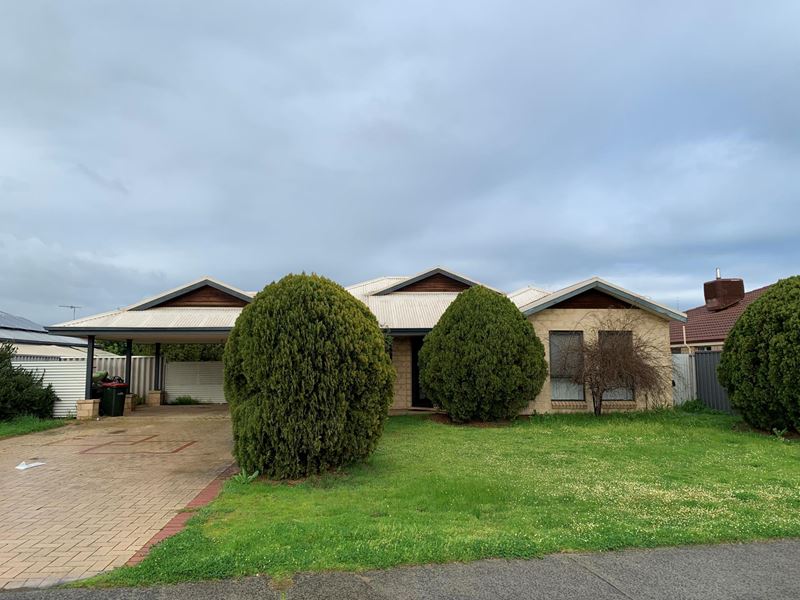 141 Millard Street, Eaton WA 6232