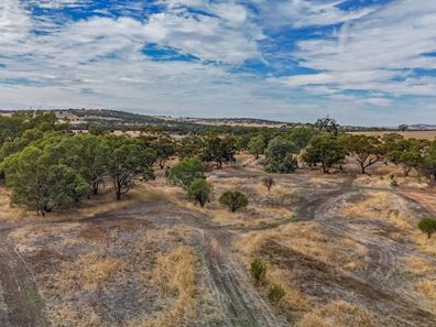 29574 & 29 Spencers Brook Road, Spencers Brook WA 6401