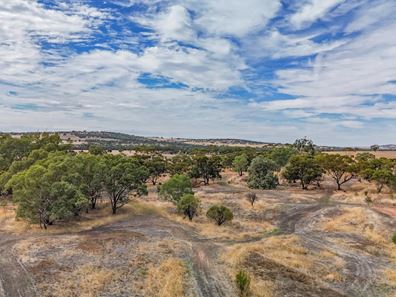 29574 & 29 Spencers Brook Road, Spencers Brook WA 6401