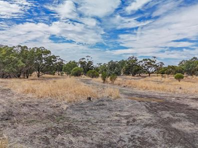29574 & 29 Spencers Brook Road, Spencers Brook WA 6401