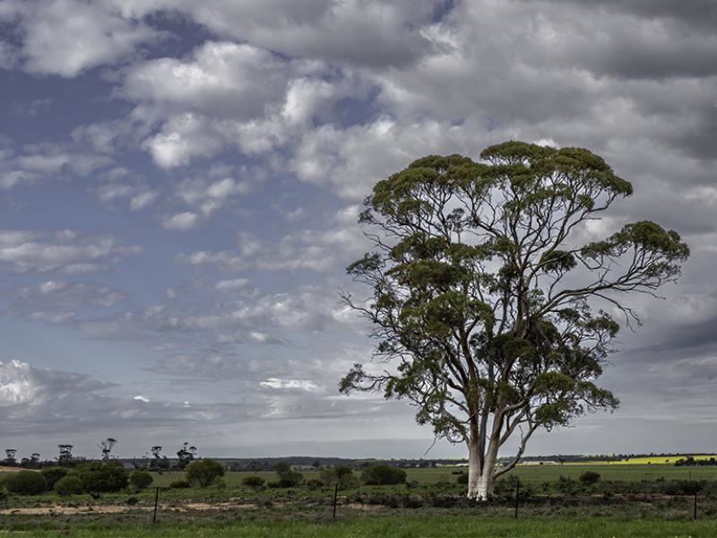 16757 Luckman  Road, Welbungin WA 6477