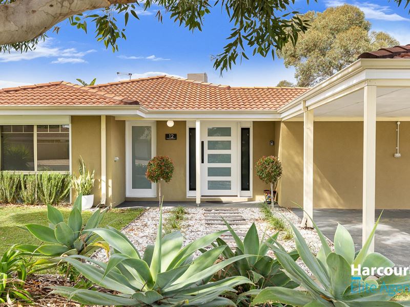 12 Throssell Court, Greenfields