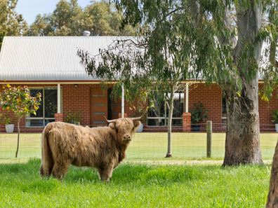 385 Young Road, Baldivis WA 6171