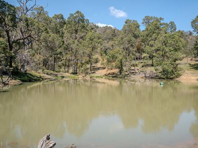Whittakers  Road, North Dandalup WA 6207