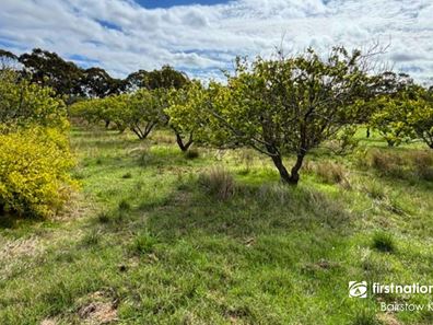 1031 Jutland Road, Kendenup WA 6323