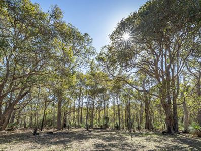 35 Shallows Loop, Yallingup WA 6282