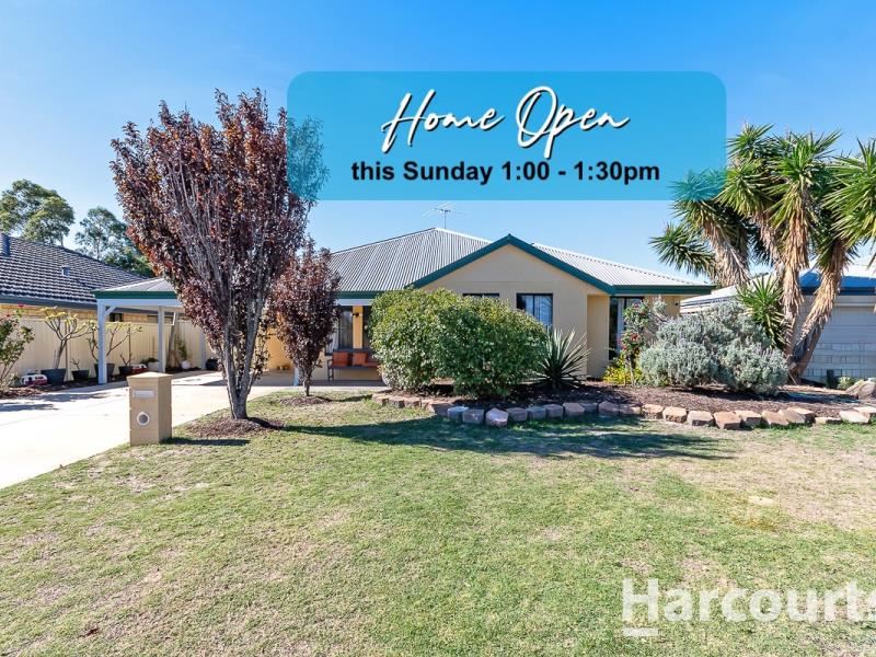 19 Dentata Street, Banksia Grove WA 6031