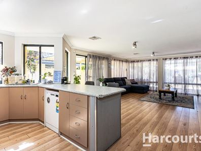 19 Dentata Street, Banksia Grove WA 6031