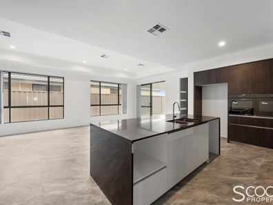 13 Lisianthus Terrace, Beeliar WA 6164