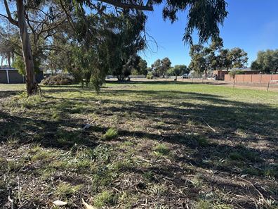 23 Grantham Street, Cranbrook WA 6321