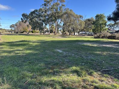 23 Grantham Street, Cranbrook WA 6321