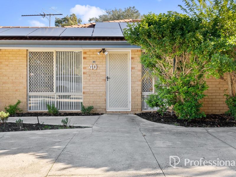 40 Waterlily Drive, Stratton WA 6056