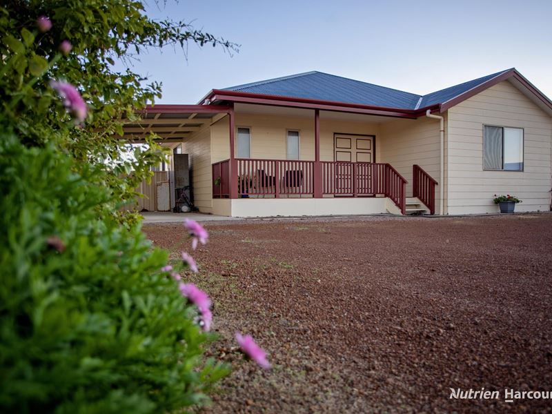 50 Birdwood Street, Hopetoun