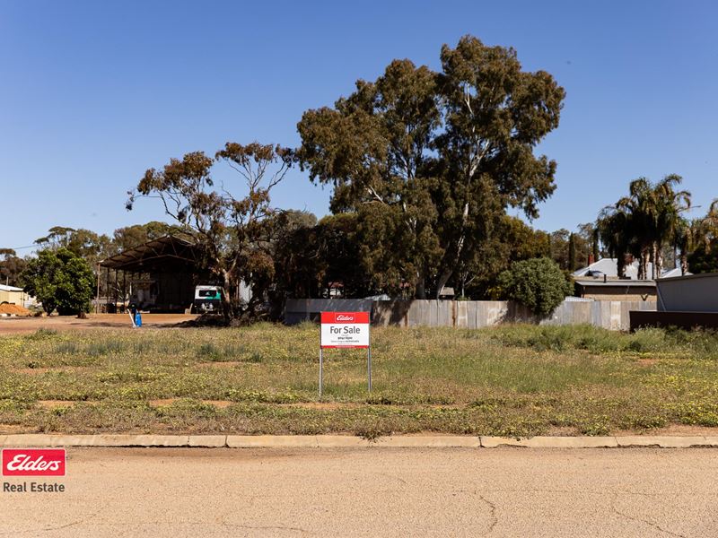 60 Farrall Street, Bruce Rock WA 6418